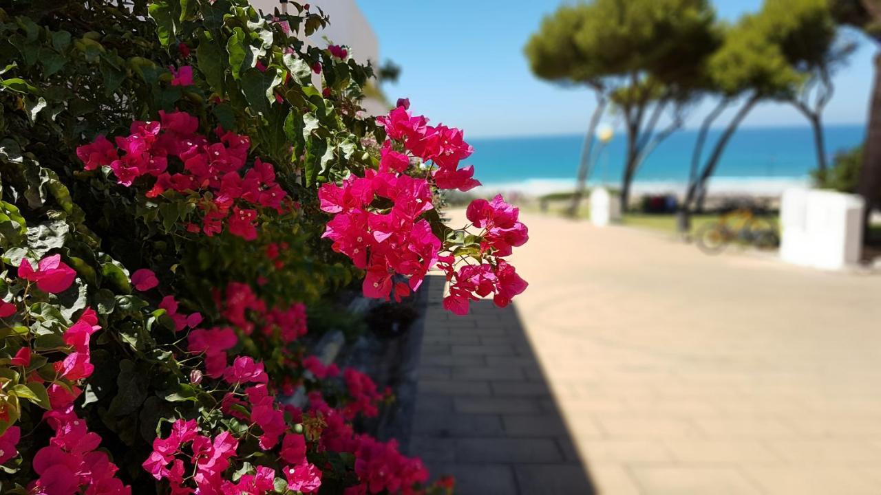 Apartamentos El Arrecife Conil De La Frontera Eksteriør billede